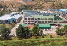 Pratley strides ahead with three generations of innovation